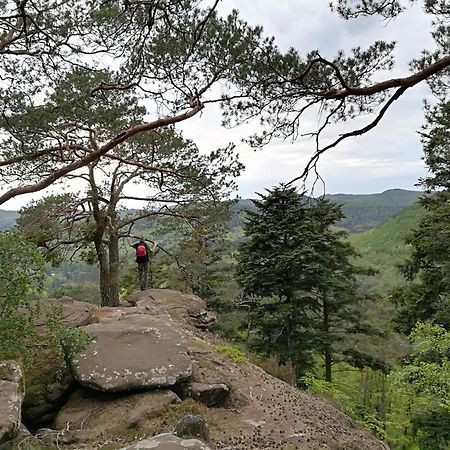 L'Ours Vert Baerenthal Buitenkant foto